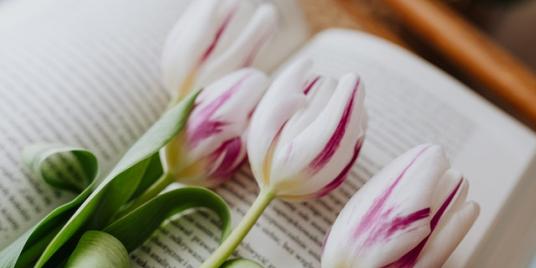 Bunch of tulips laid over an open book