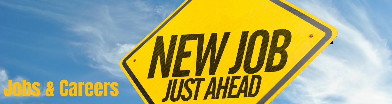 Image of road sign with the words "new job ahead"