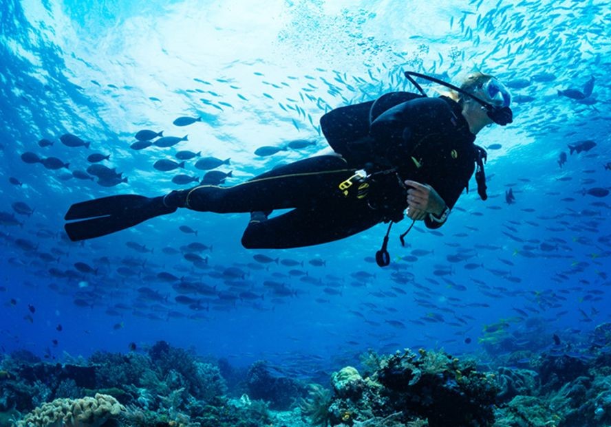 Scuba Diver in the ocean and coral reef.