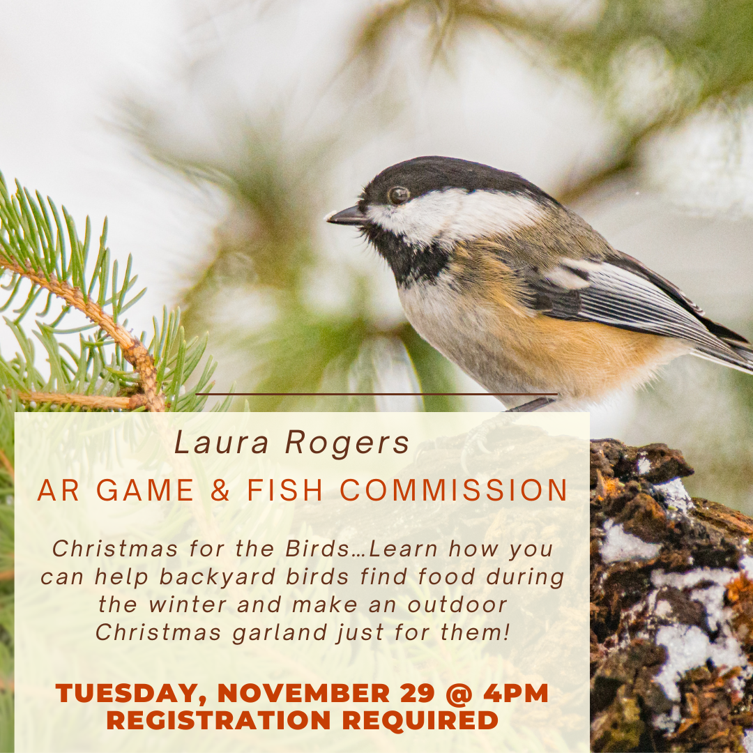 Christmas for the Birds... with Laura, AR Game & Fish Commission