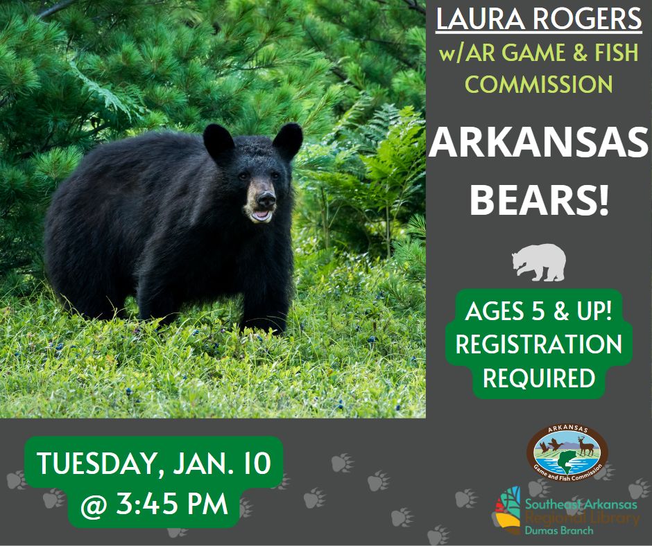 Black bear with event information