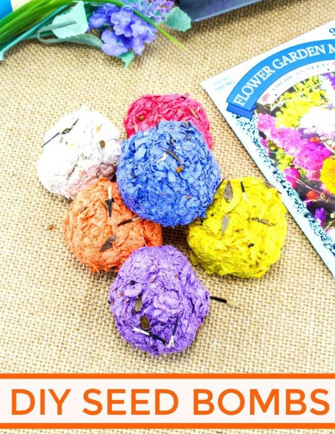 Colorful seed bombs, flower seed pack, and purple flowers