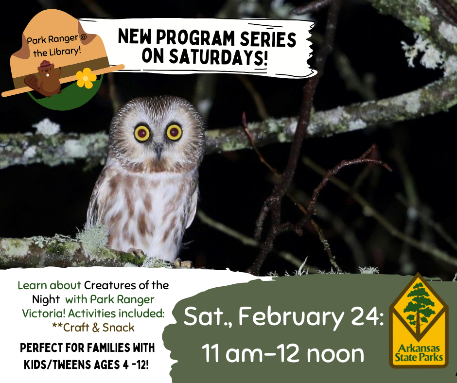 barred owl at night sitting on a branch, event date: 11-12 on February 24 at the library.