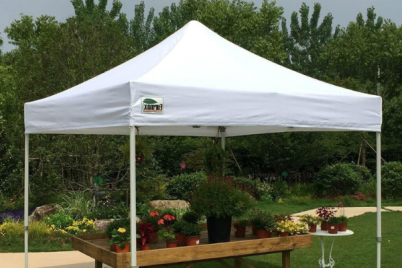 White canopy tent outdoors