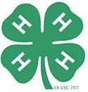 Green four leaf clover with white H in each leaf