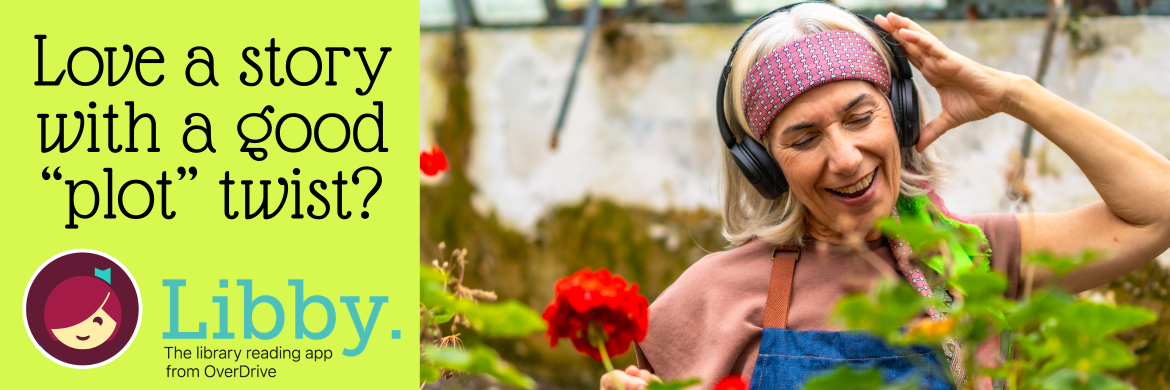 Image of banner for Libby reading app